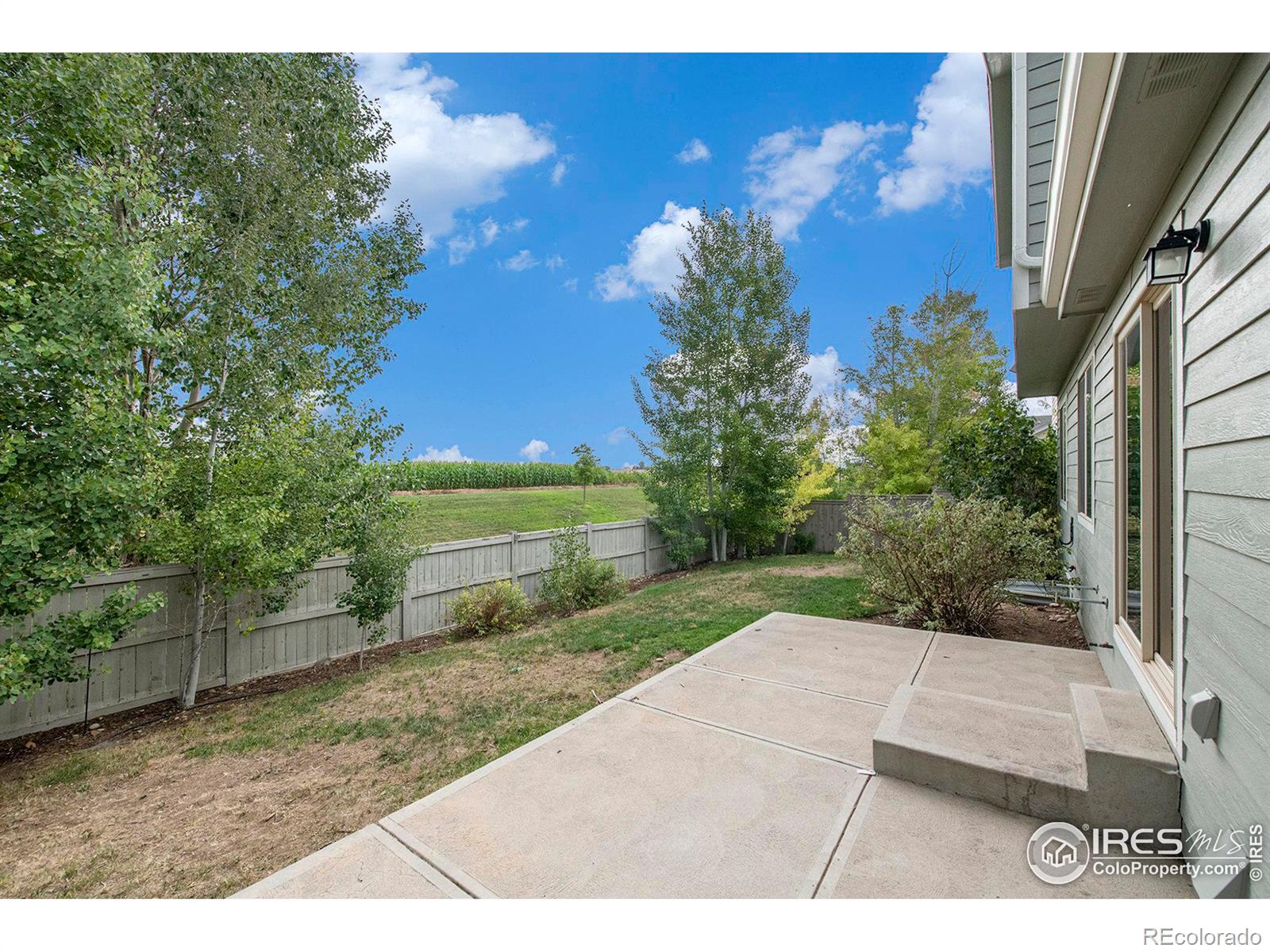 MLS Image #17 for 3450  iron horse way,wellington, Colorado