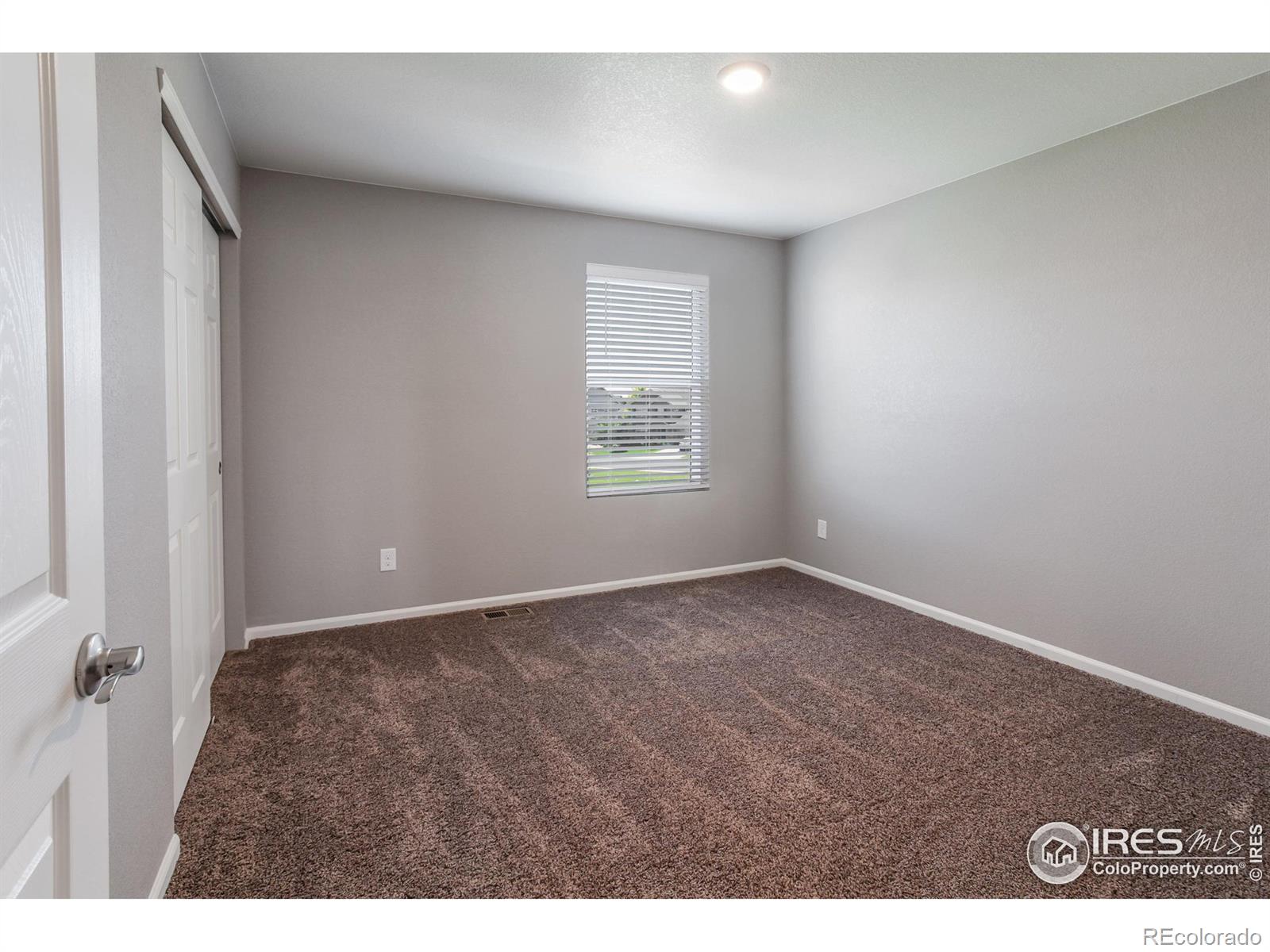 MLS Image #19 for 745  camberly drive,windsor, Colorado