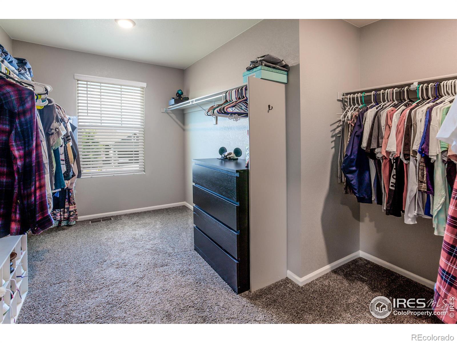 MLS Image #23 for 745  camberly drive,windsor, Colorado