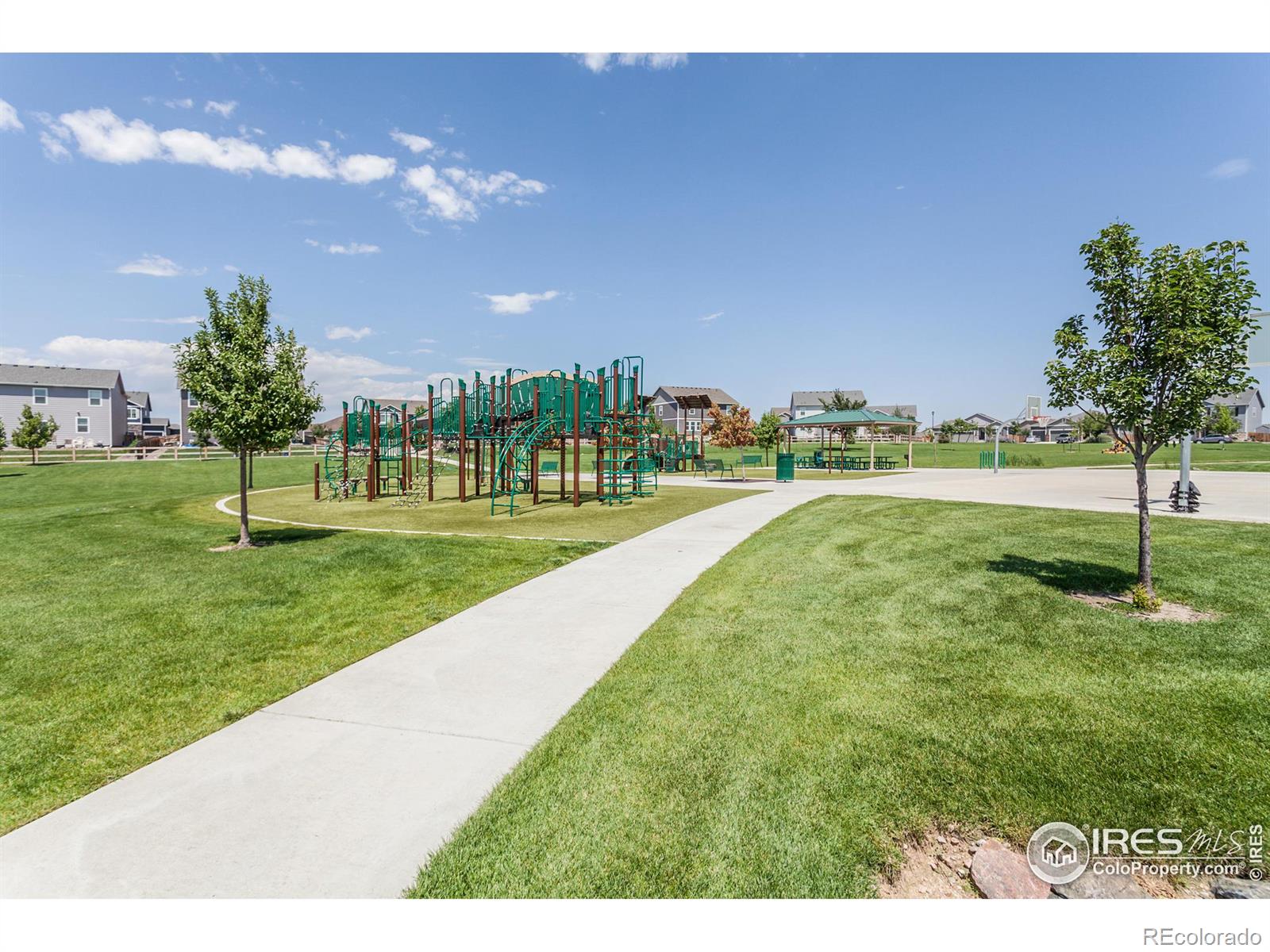 MLS Image #35 for 745  camberly drive,windsor, Colorado