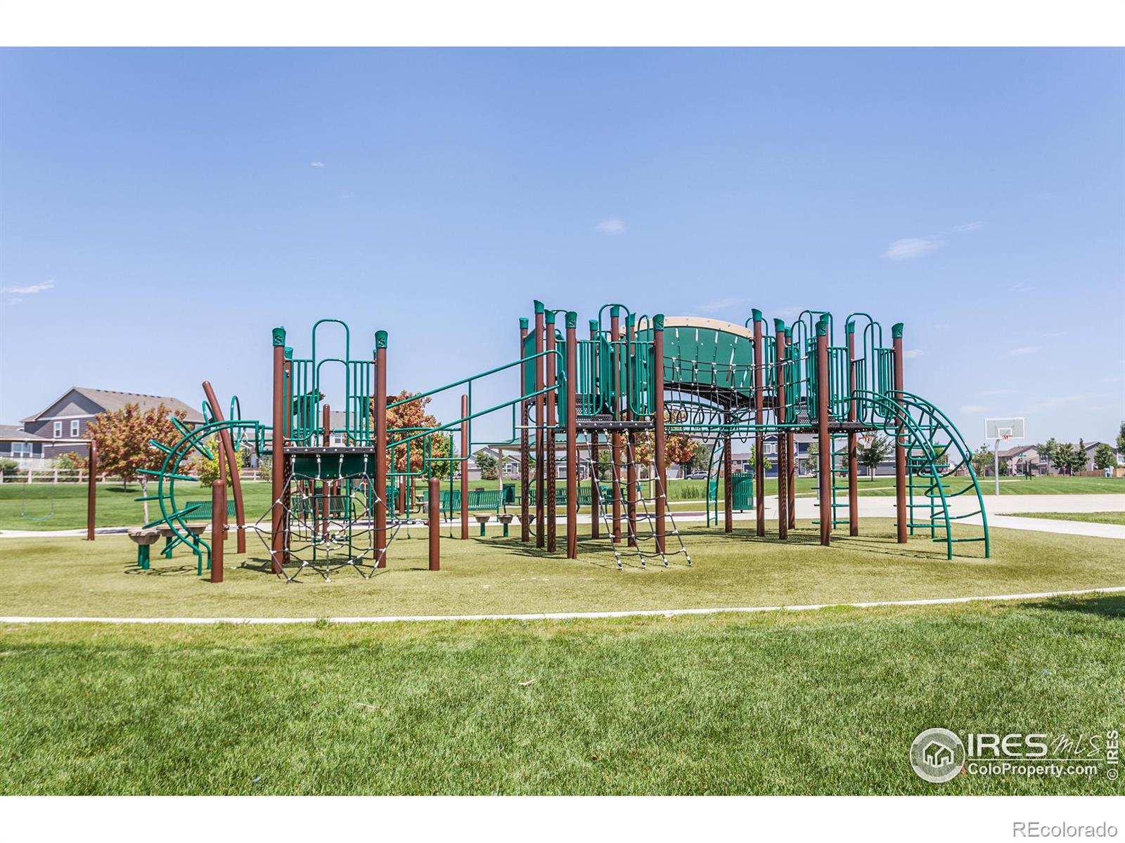 MLS Image #36 for 745  camberly drive,windsor, Colorado