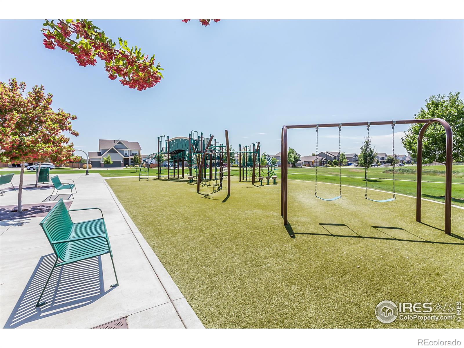 MLS Image #37 for 745  camberly drive,windsor, Colorado