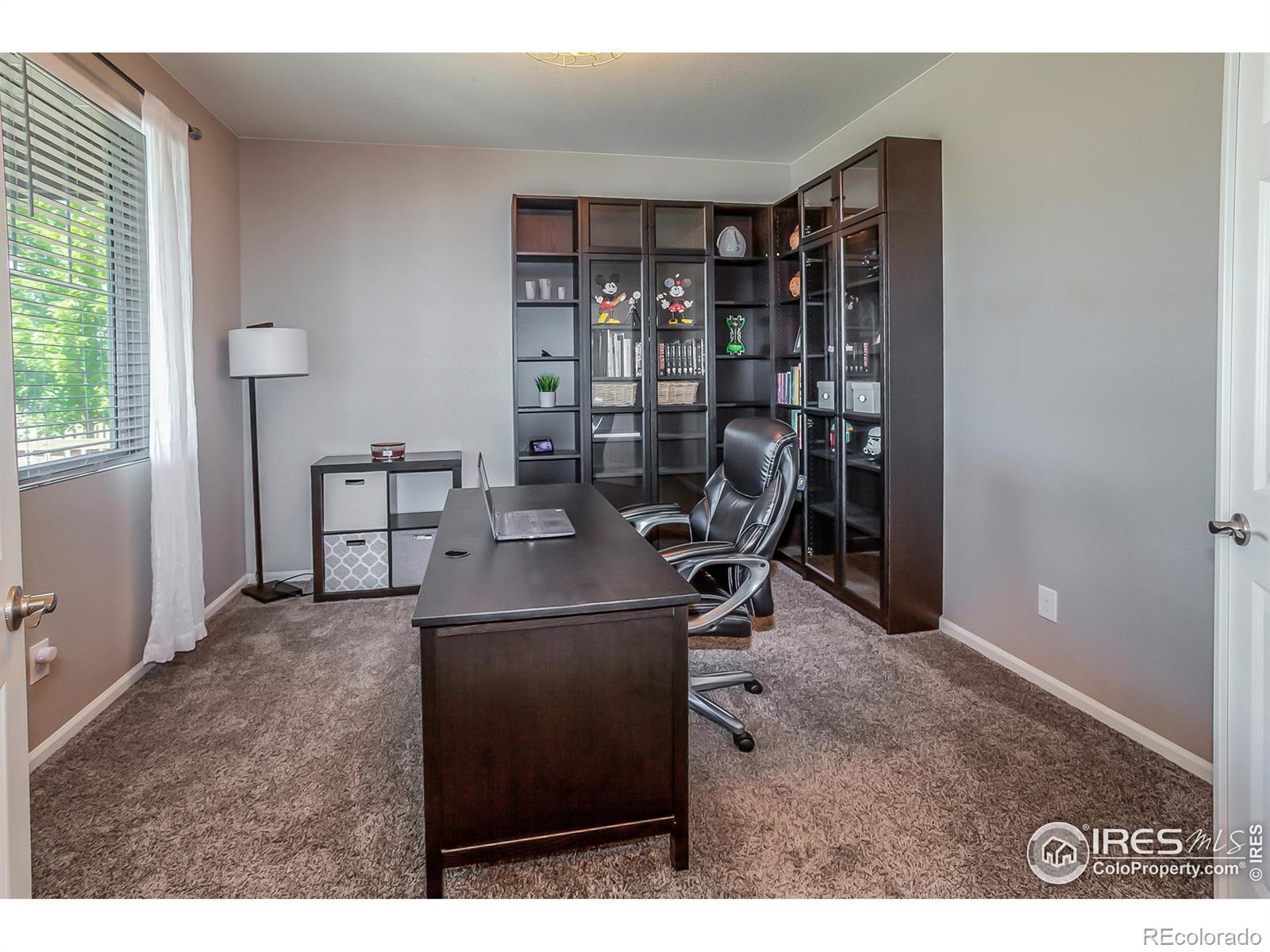 MLS Image #4 for 745  camberly drive,windsor, Colorado