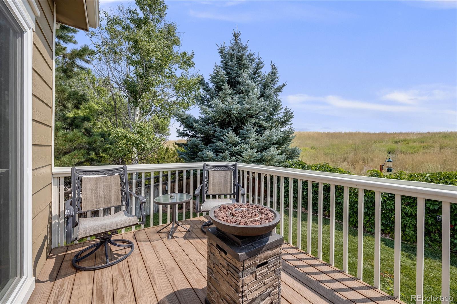 MLS Image #27 for 3720  sunridge terrace drive,castle rock, Colorado