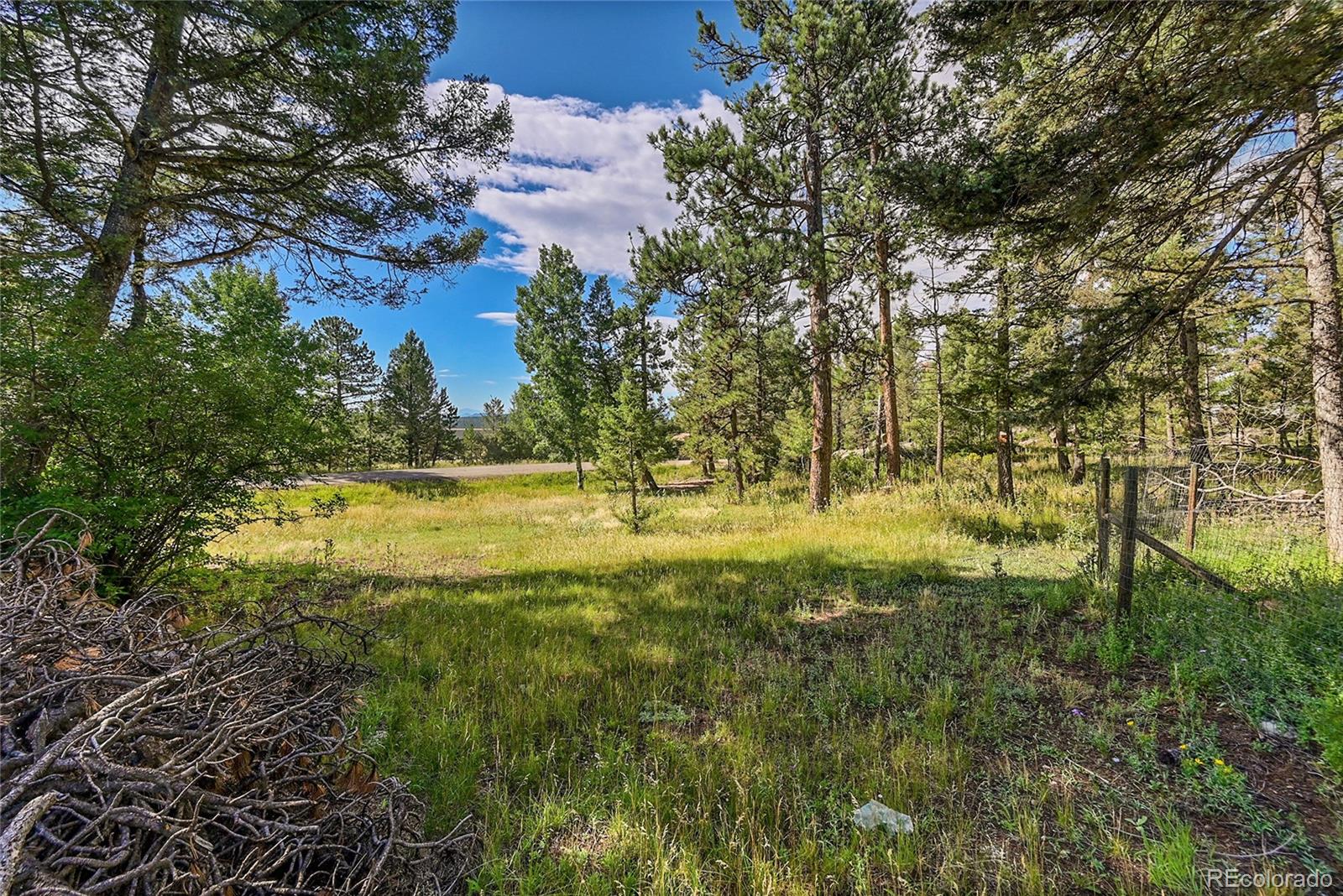 MLS Image #10 for 30500  rand road,conifer, Colorado