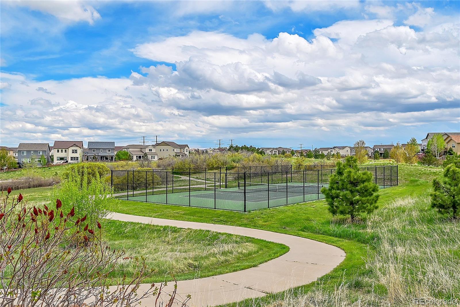 MLS Image #47 for 2295  summer hill drive,castle rock, Colorado