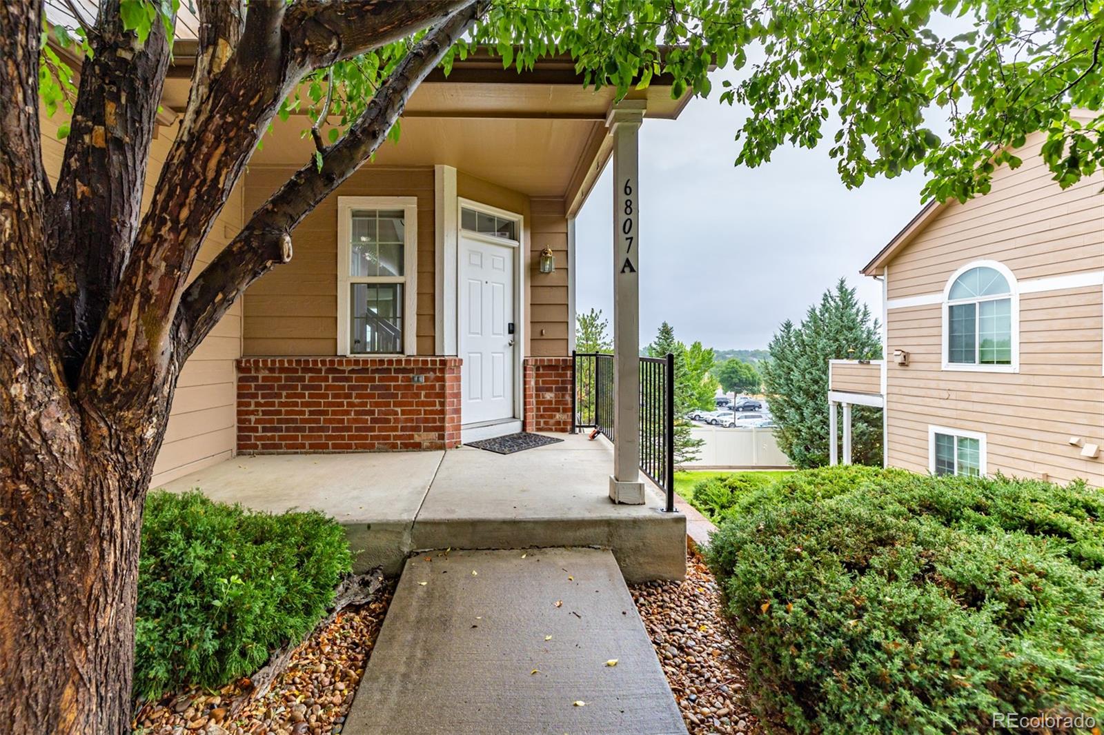 MLS Image #5 for 6807 s webster street,littleton, Colorado