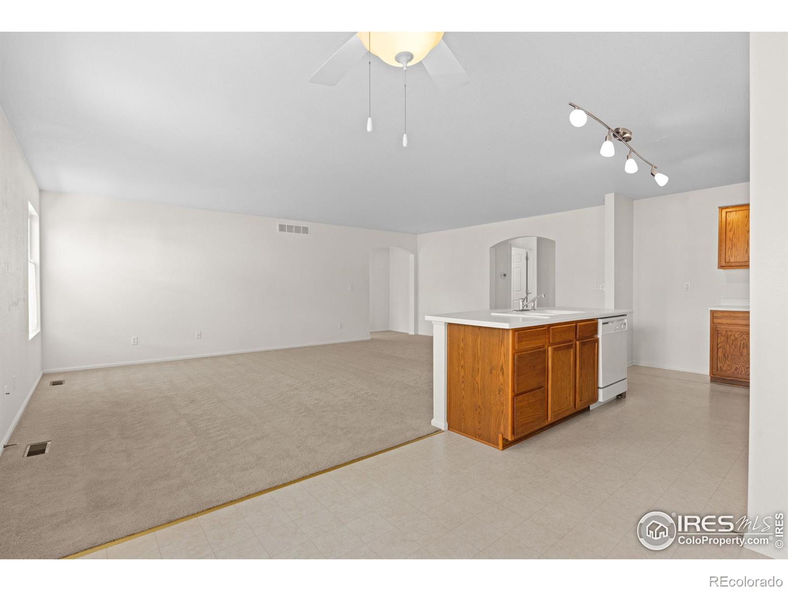 MLS Image #11 for 1418  tonkin place,longmont, Colorado