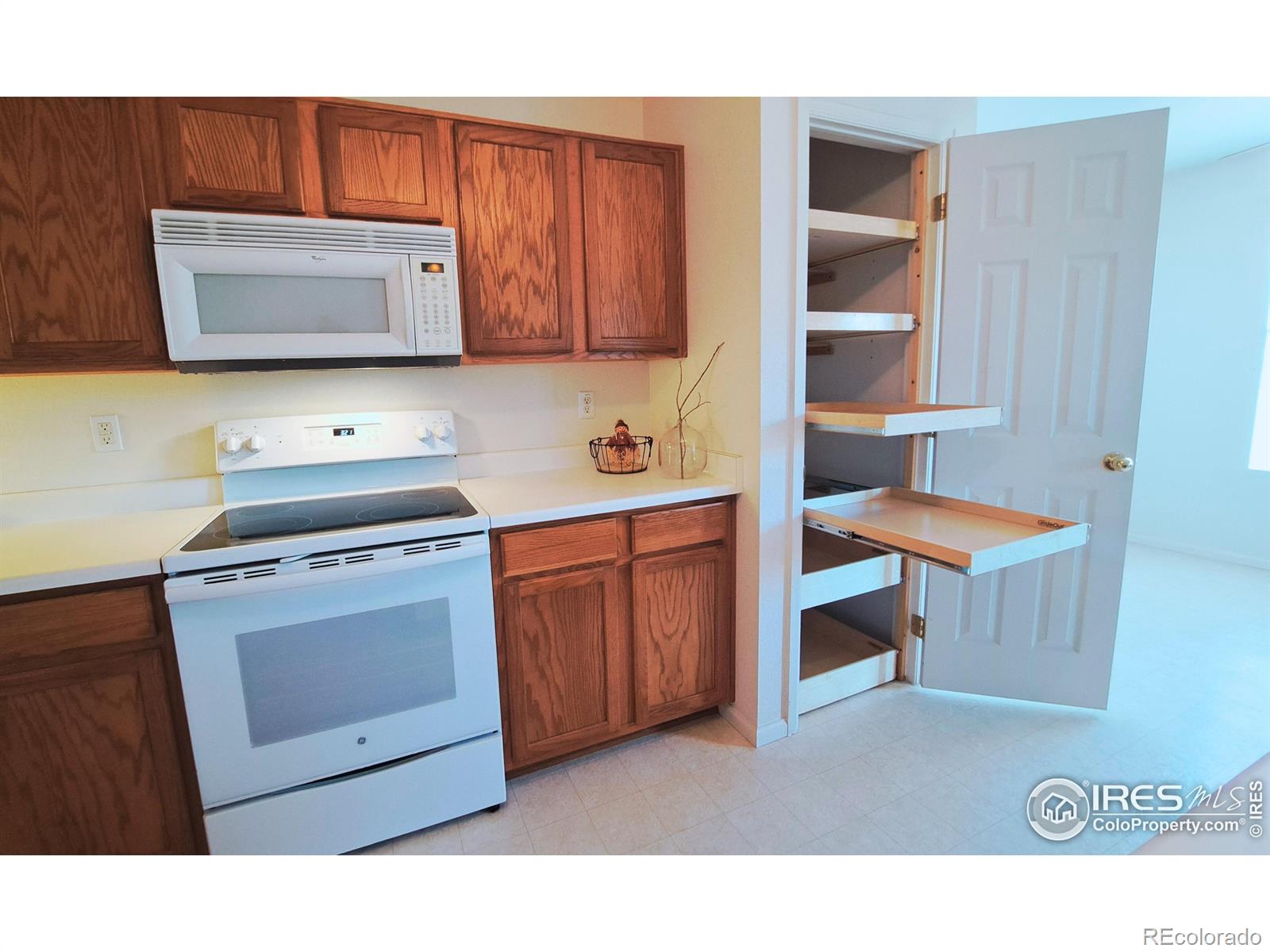 MLS Image #12 for 1418  tonkin place,longmont, Colorado