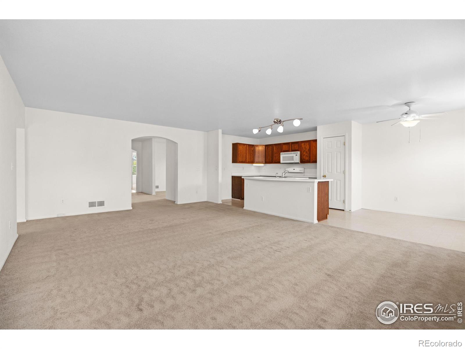 MLS Image #13 for 1418  tonkin place,longmont, Colorado