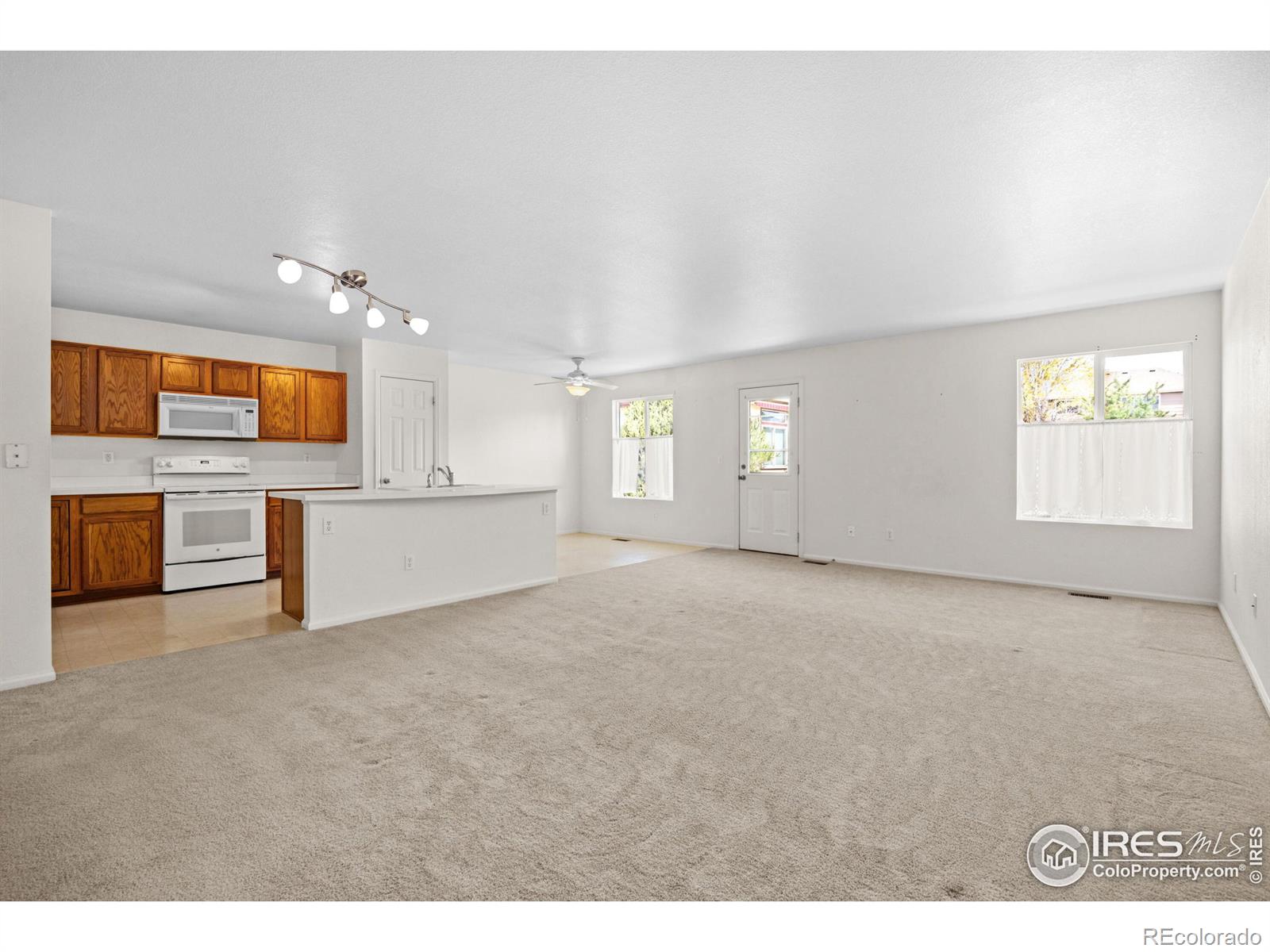 MLS Image #14 for 1418  tonkin place,longmont, Colorado
