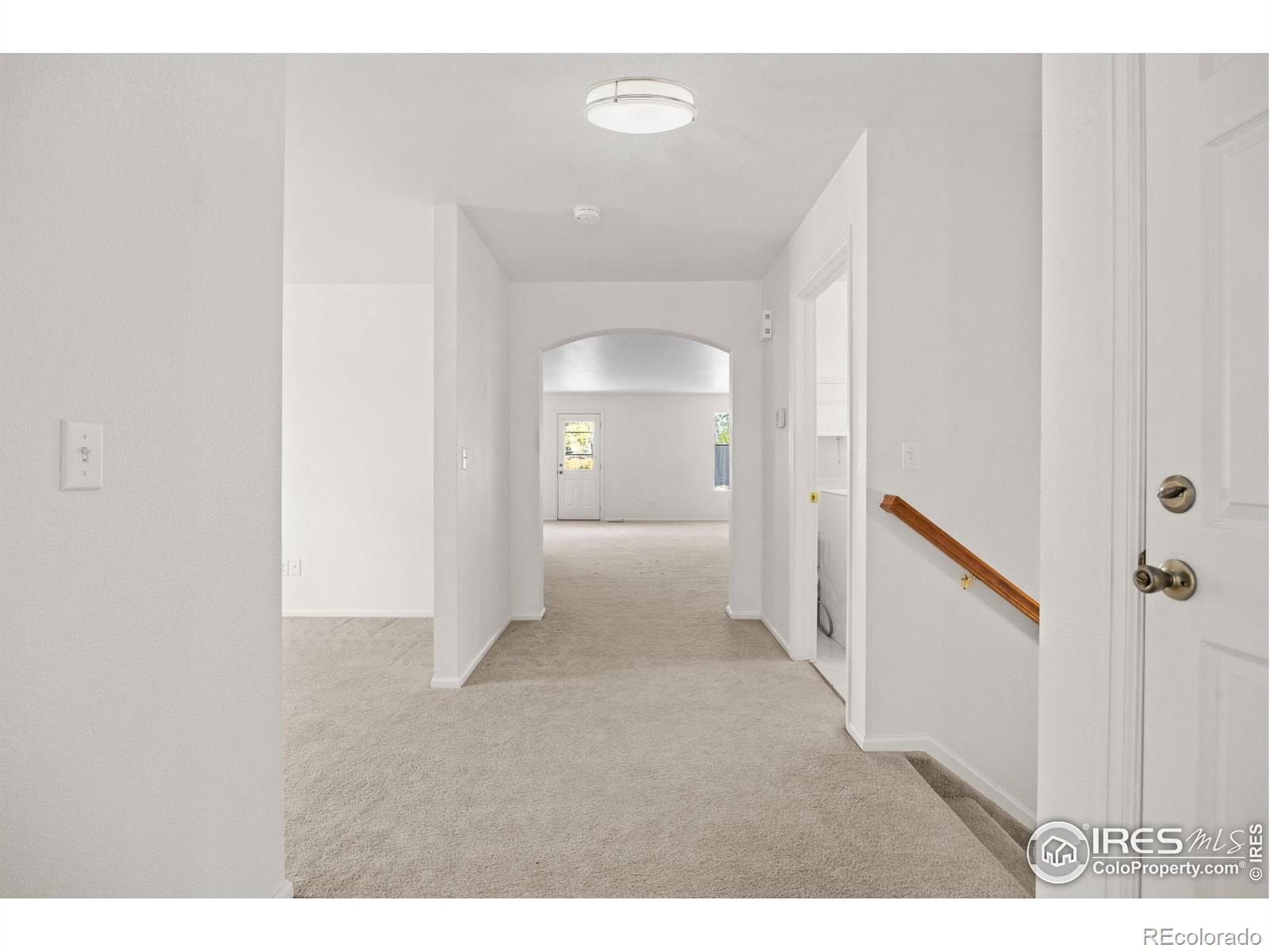 MLS Image #18 for 1418  tonkin place,longmont, Colorado