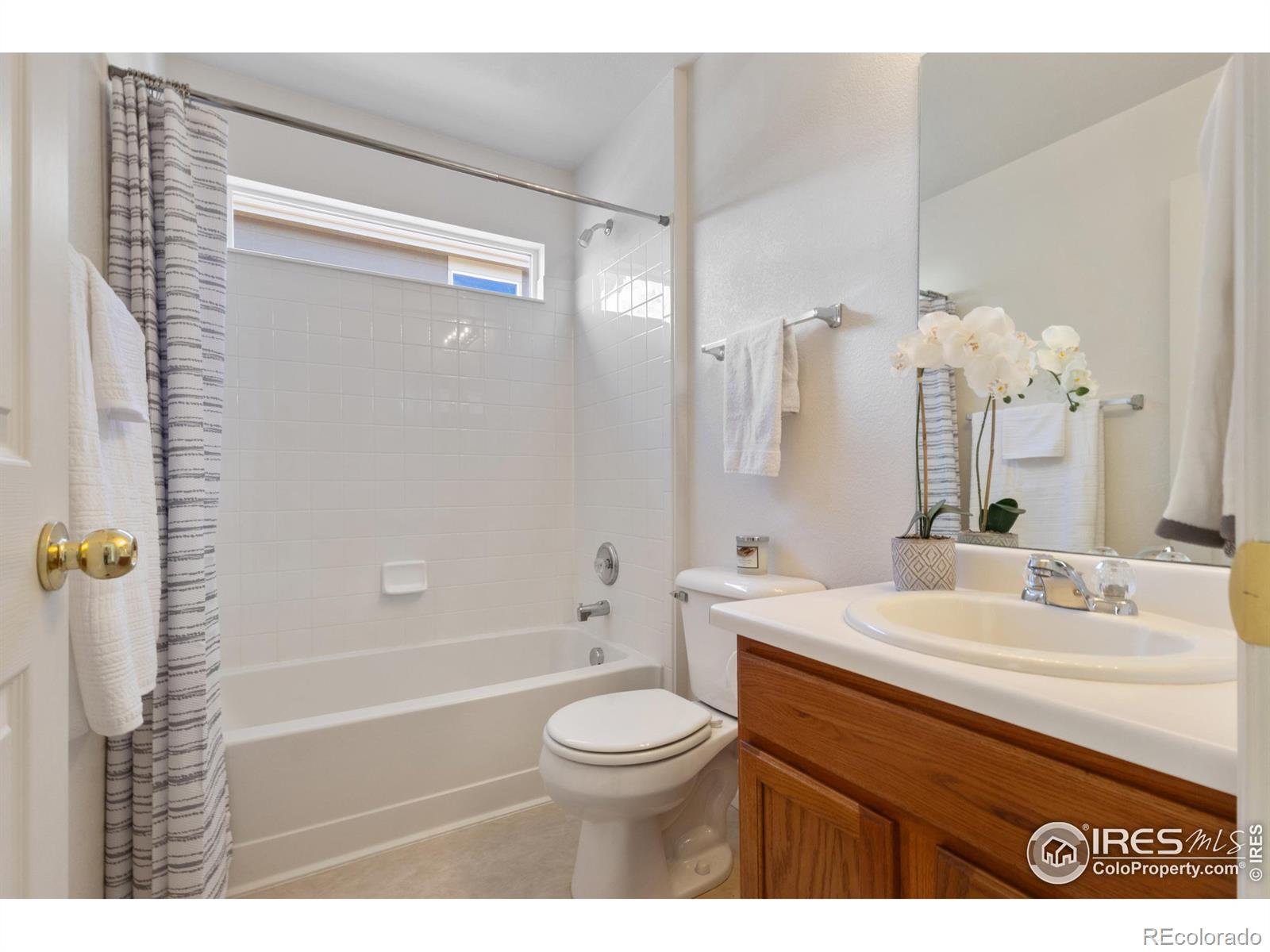 MLS Image #22 for 1418  tonkin place,longmont, Colorado