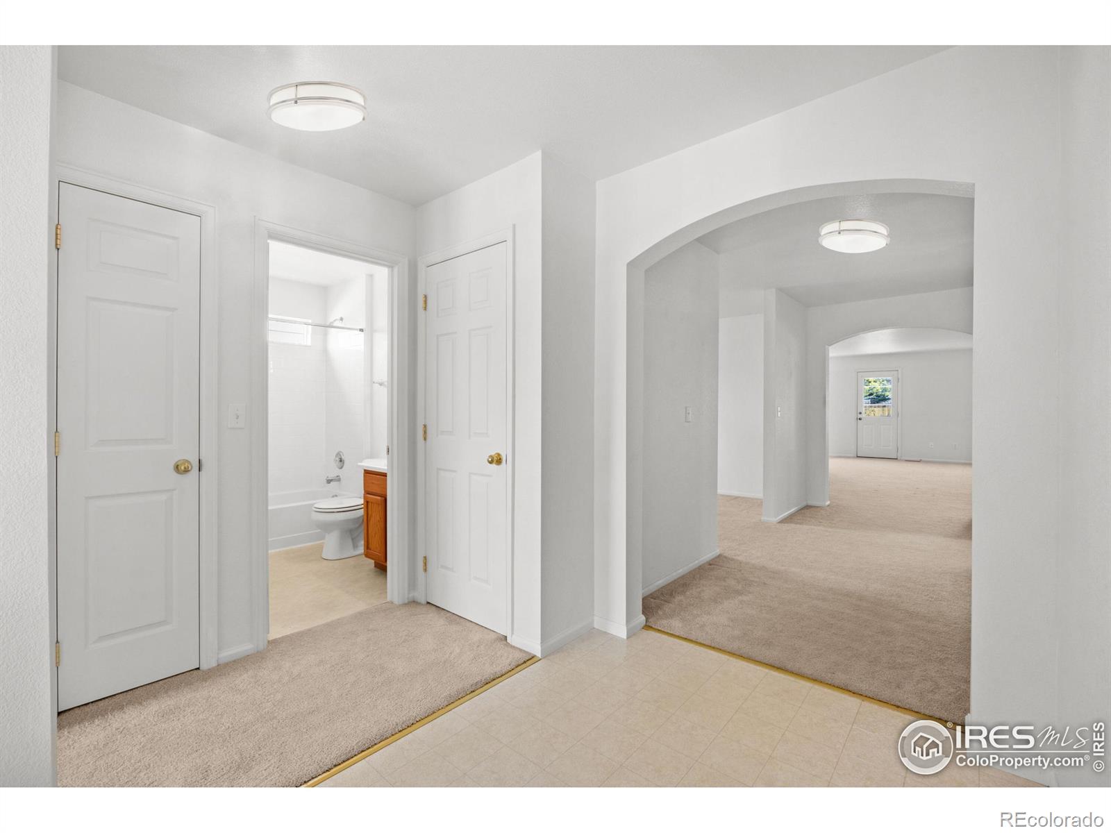 MLS Image #4 for 1418  tonkin place,longmont, Colorado