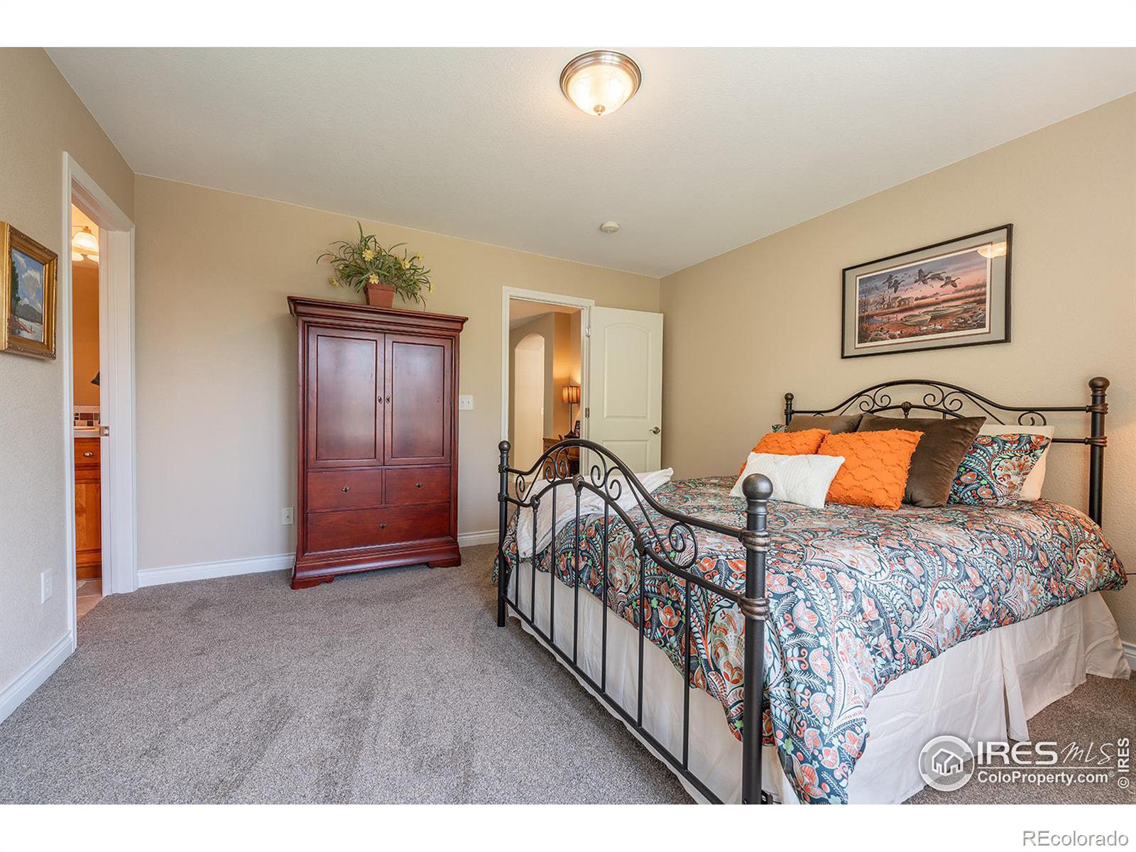 MLS Image #19 for 1651  stardance circle,longmont, Colorado