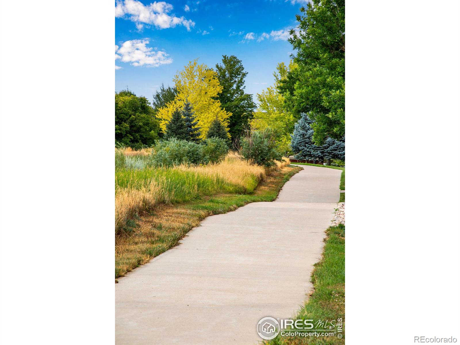 MLS Image #18 for 1636 w 50th street,loveland, Colorado