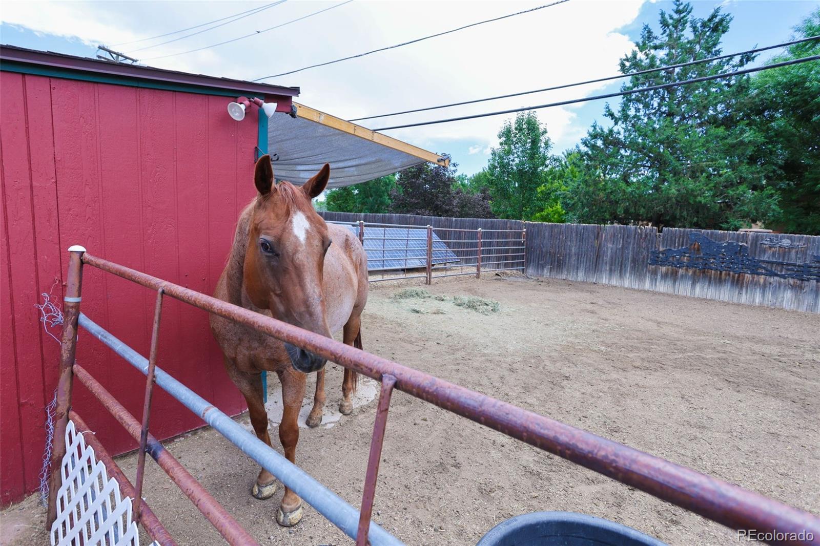 MLS Image #47 for 1000 s flower street,lakewood, Colorado