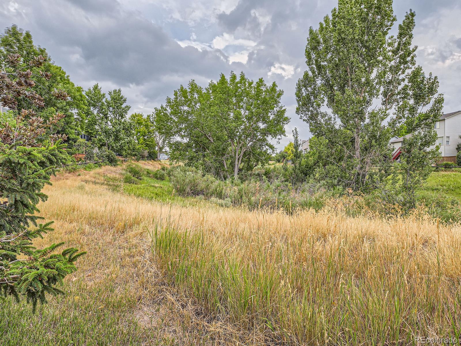 MLS Image #37 for 9385  autumn ash place,highlands ranch, Colorado