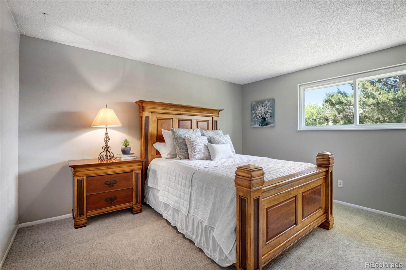 MLS Image #10 for 13447  federal place,broomfield, Colorado