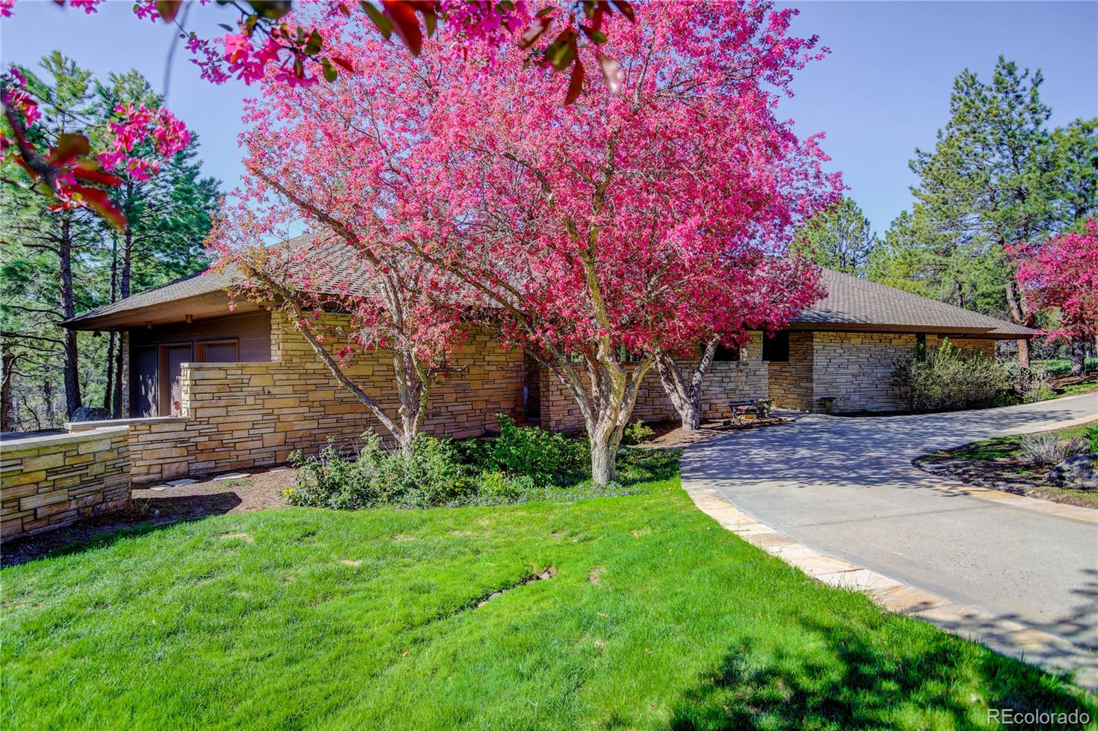 MLS Image #33 for 29  castle pines drive,castle rock, Colorado