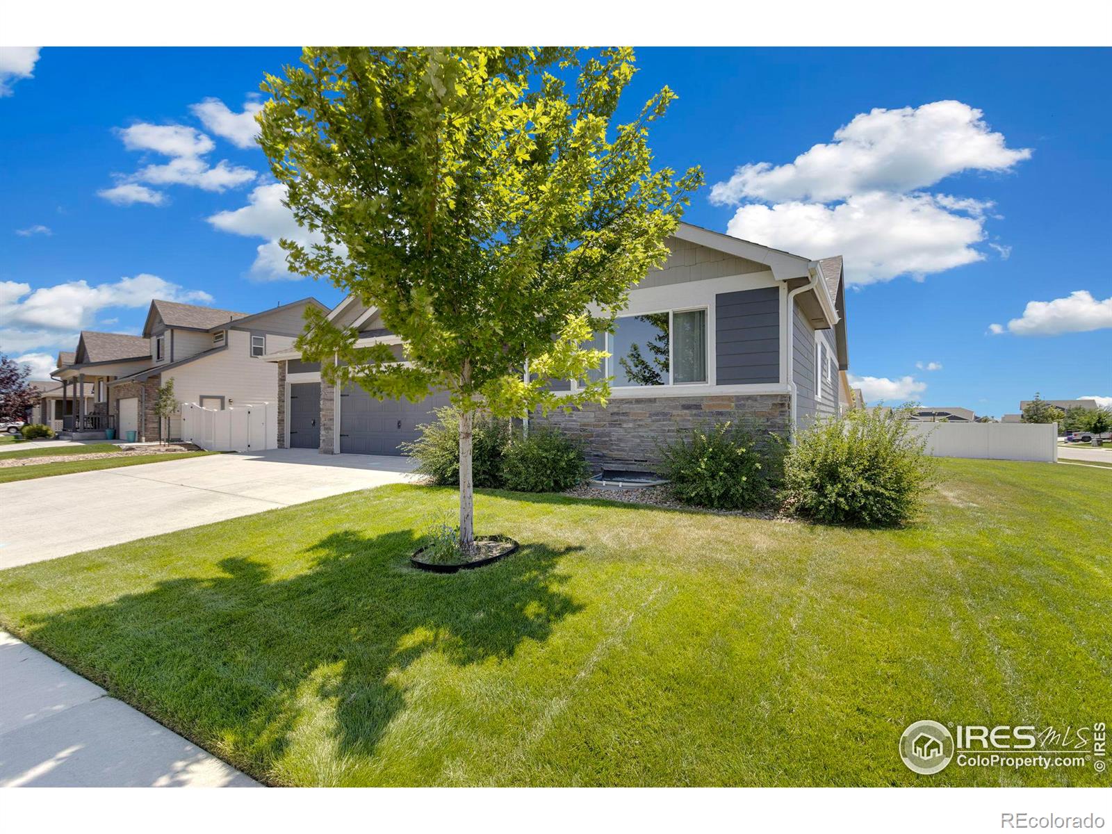 CMA Image for 639  gore range drive,Severance, Colorado