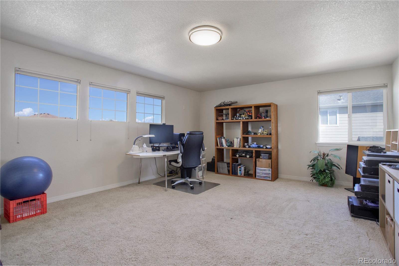 MLS Image #22 for 12640  locust way,thornton, Colorado