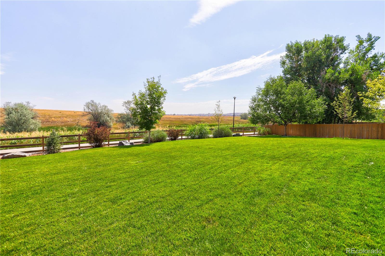 MLS Image #35 for 12640  locust way,thornton, Colorado