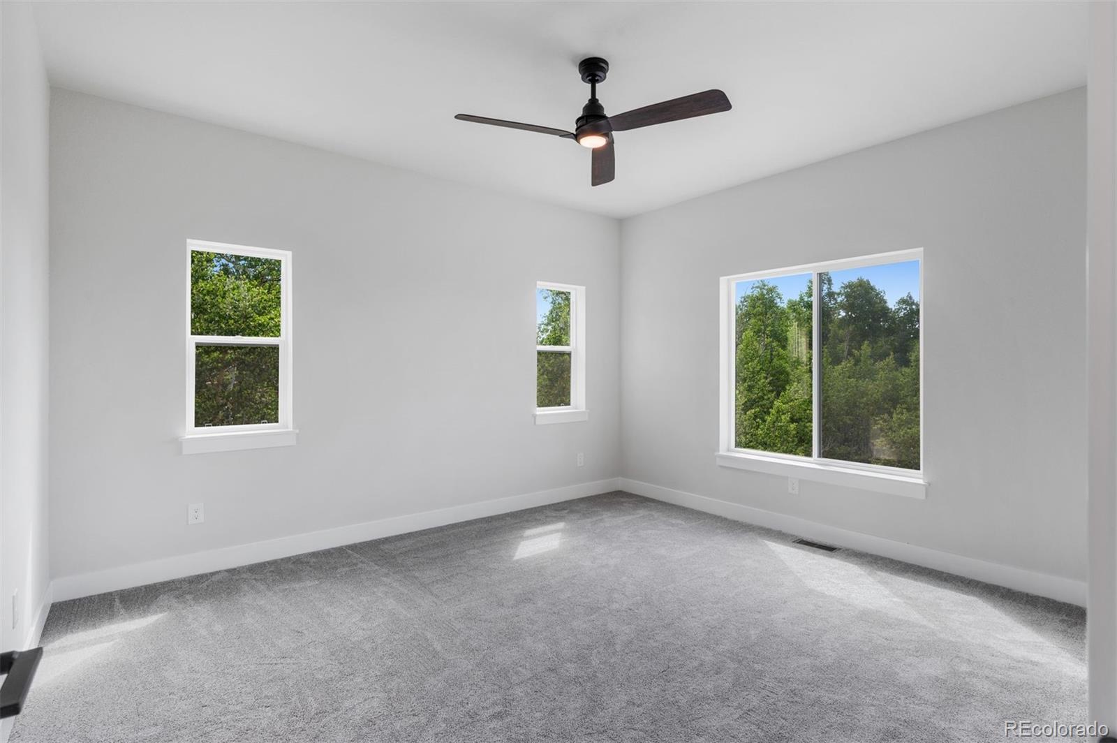 MLS Image #18 for 1378  kiowa street,como, Colorado