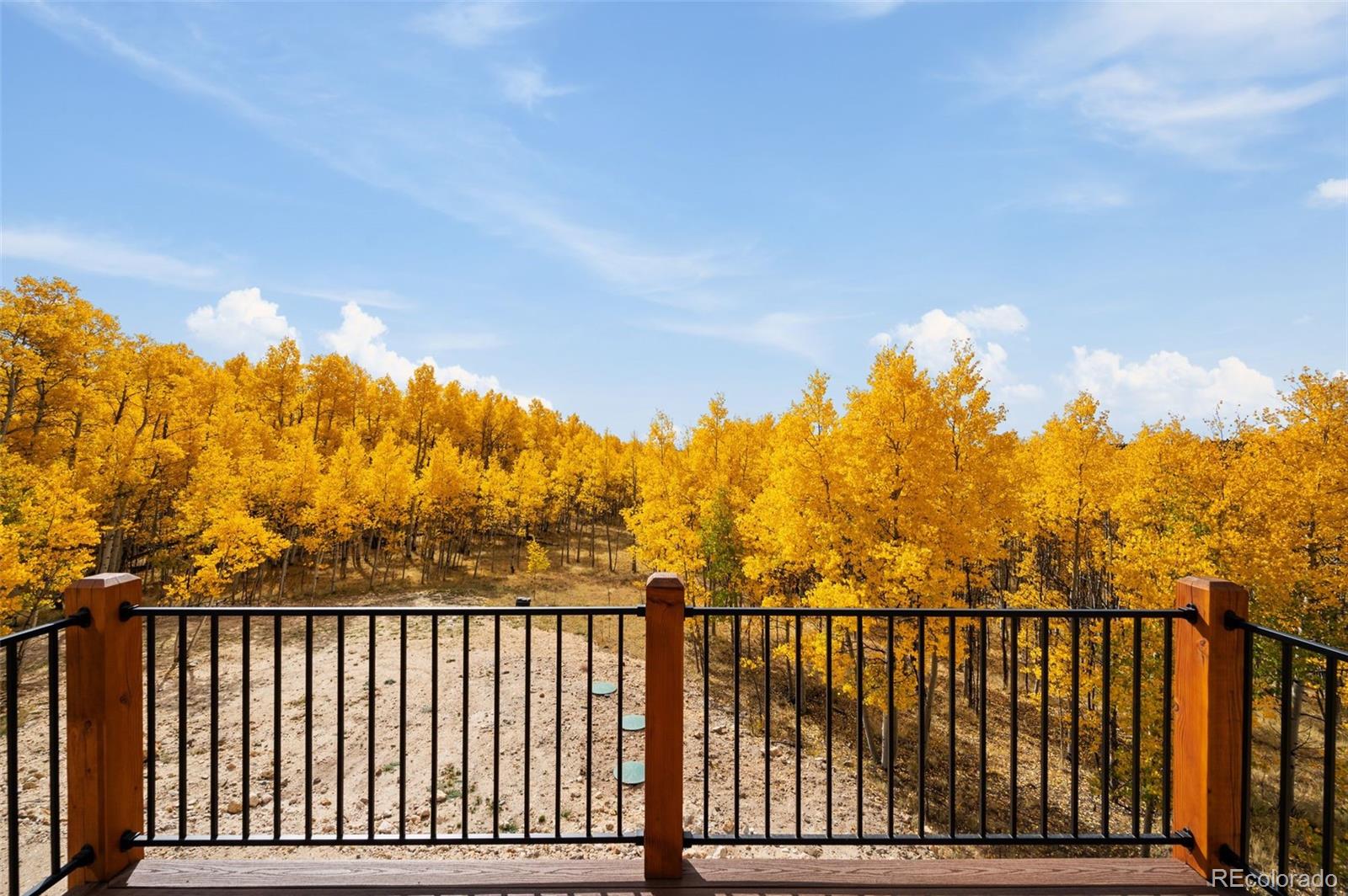 MLS Image #5 for 1378  kiowa street,como, Colorado