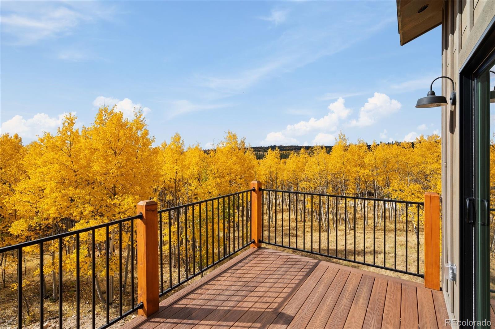 MLS Image #6 for 1378  kiowa street,como, Colorado