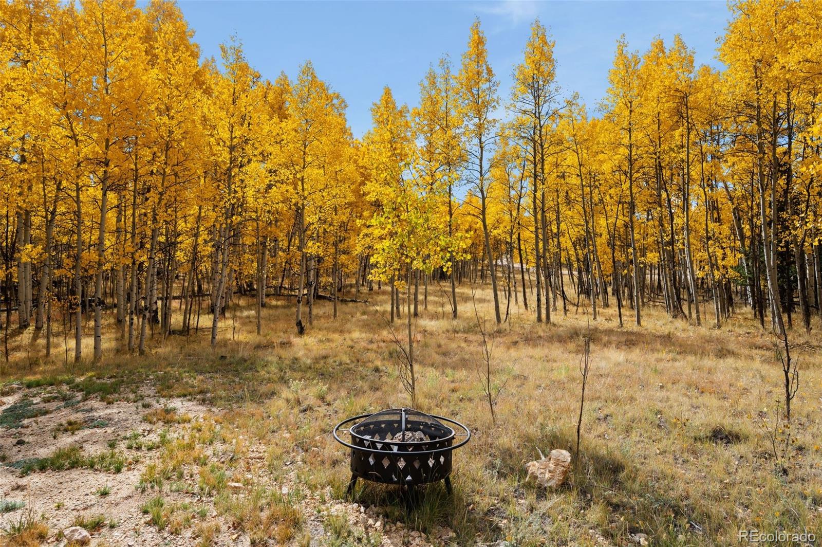 MLS Image #8 for 1378  kiowa street,como, Colorado
