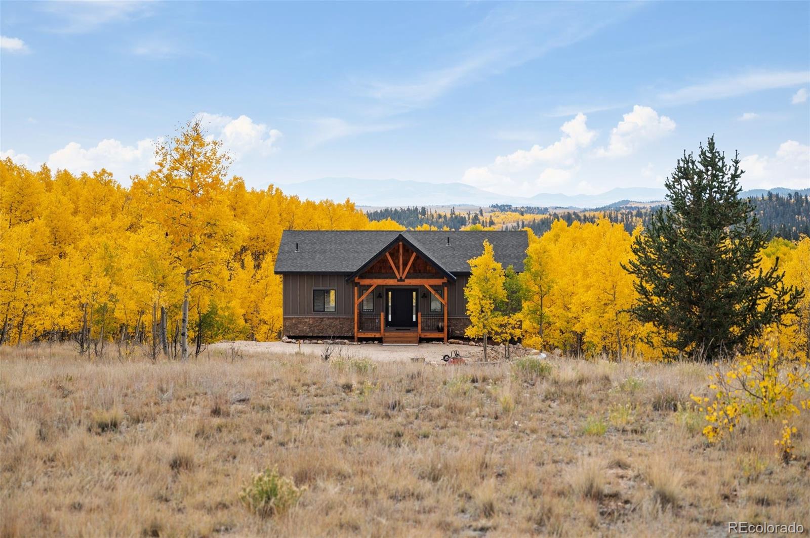 MLS Image #9 for 1378  kiowa street,como, Colorado