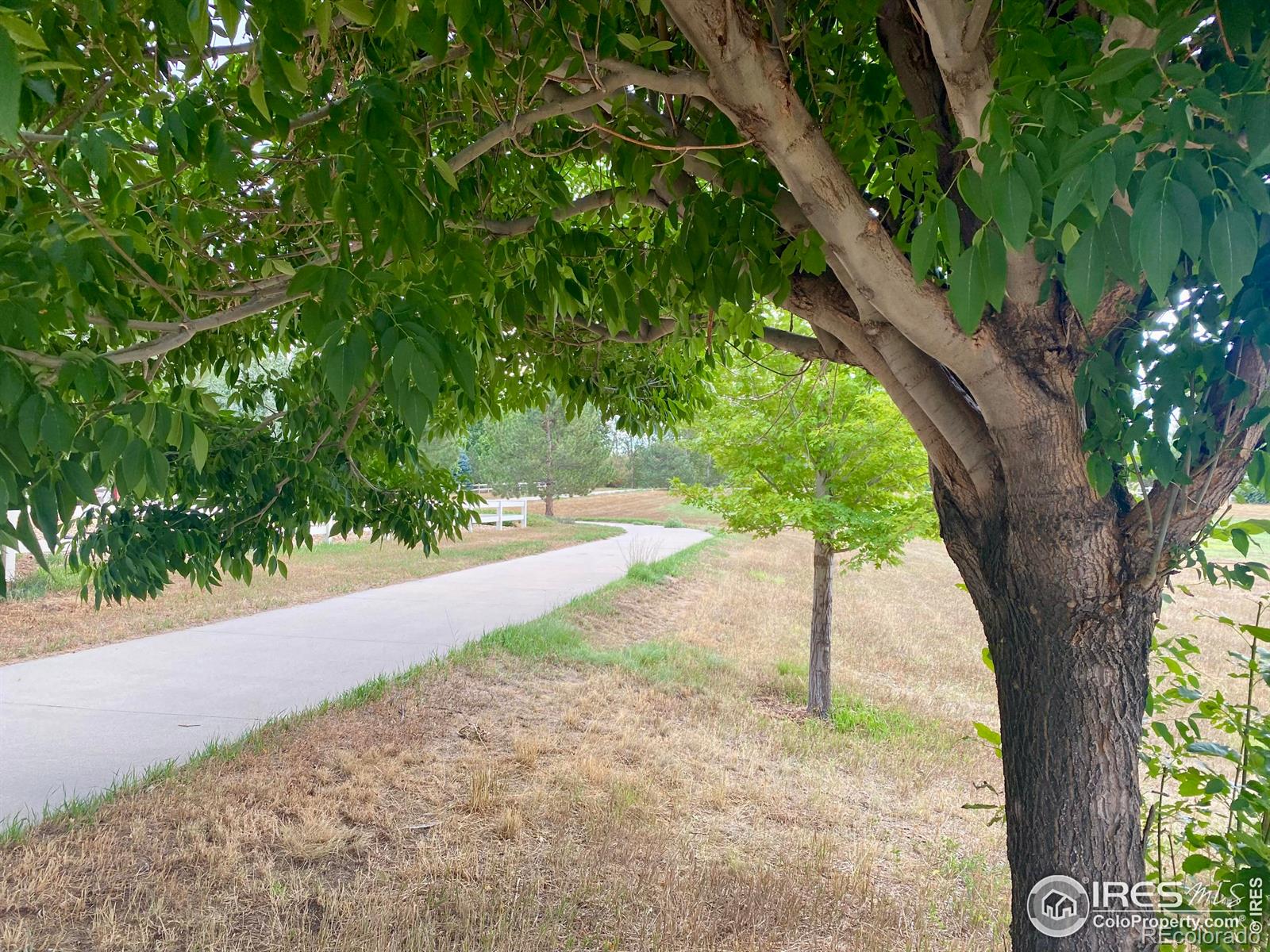 MLS Image #27 for 9931  cascade street,firestone, Colorado