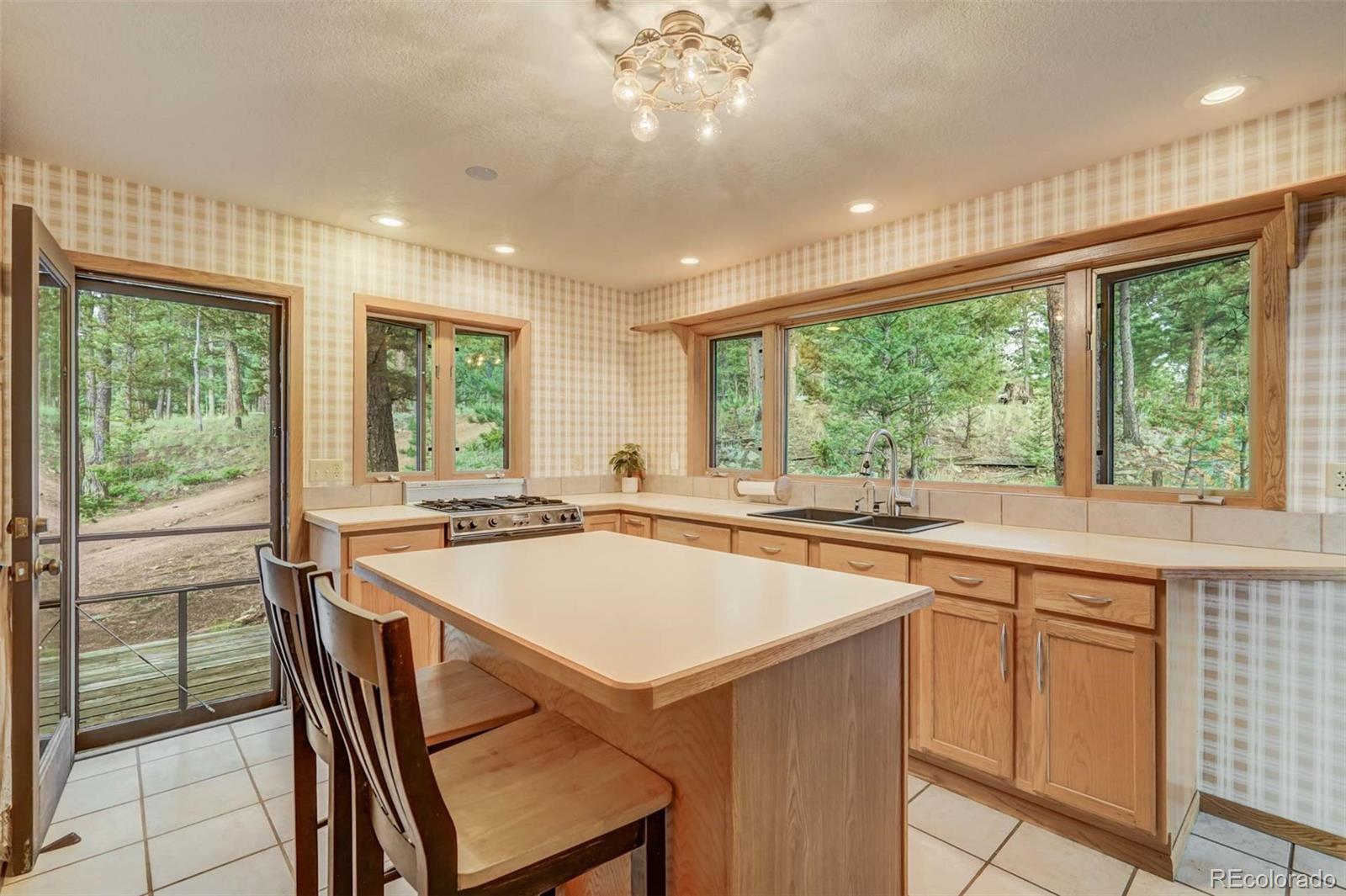MLS Image #11 for 723  trail creek road,lake george, Colorado