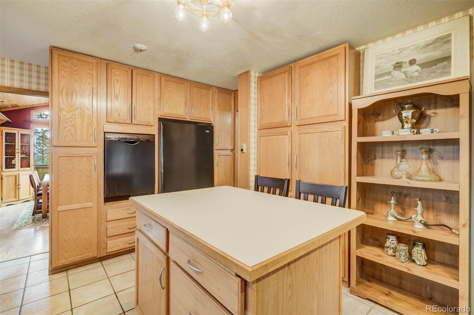 MLS Image #12 for 723  trail creek road,lake george, Colorado