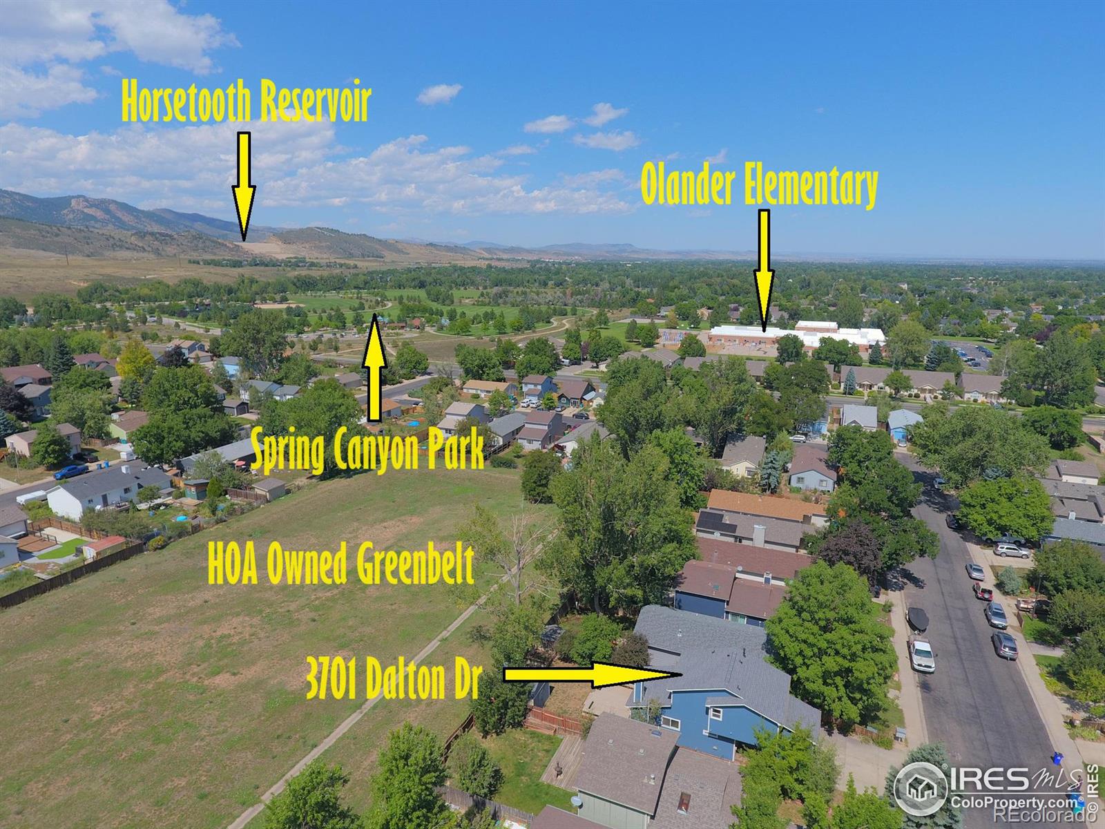 MLS Image #3 for 3701  dalton drive,fort collins, Colorado