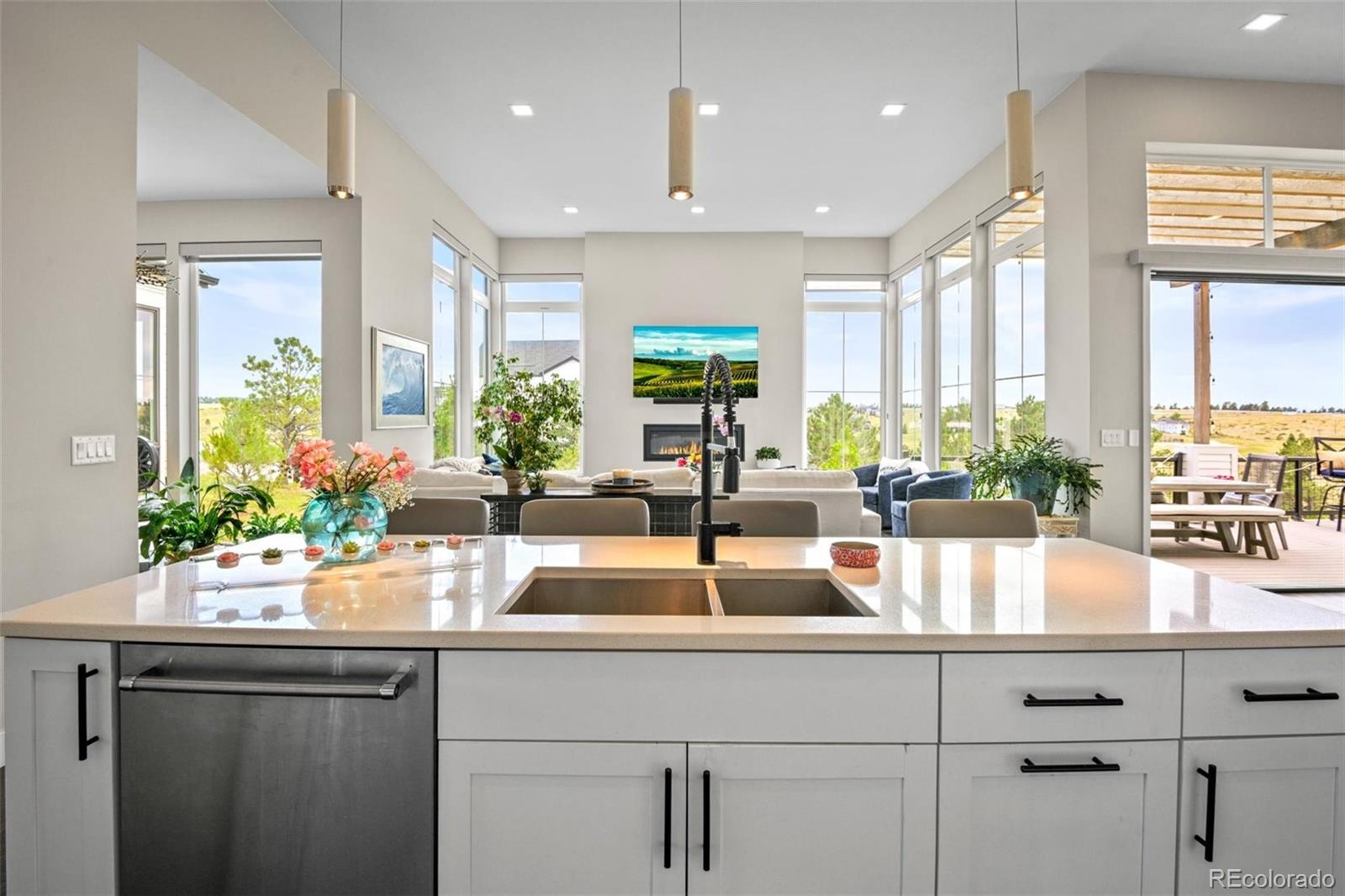 MLS Image #13 for 8263  merryvale trail,parker, Colorado