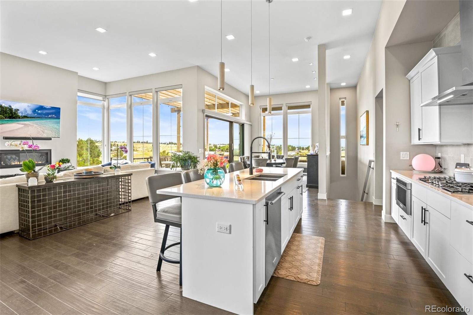 MLS Image #5 for 8263  merryvale trail,parker, Colorado