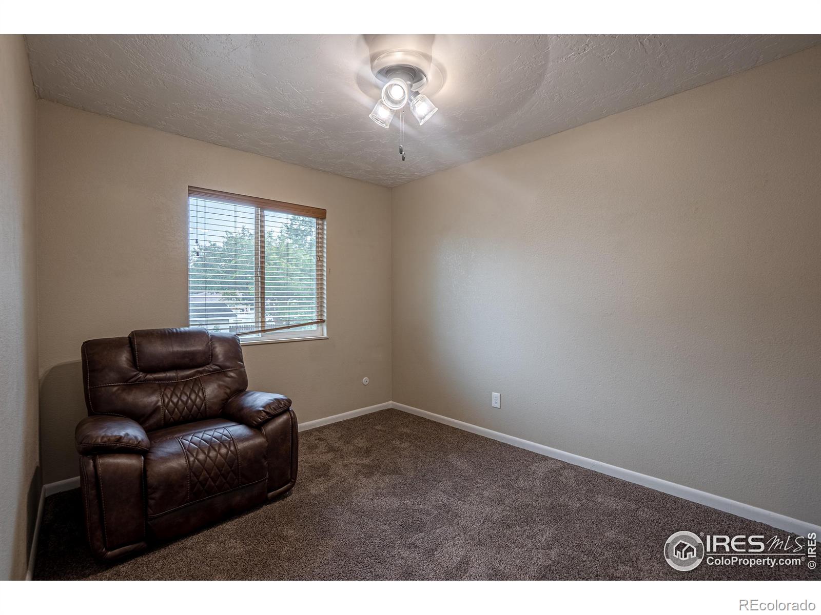 MLS Image #12 for 435  juniper avenue,eaton, Colorado