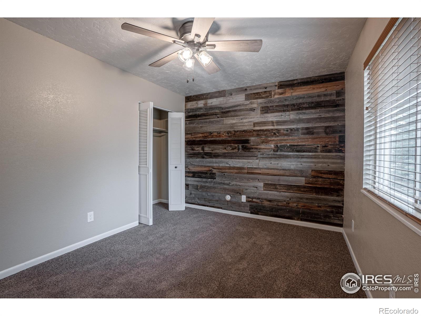 MLS Image #14 for 435  juniper avenue,eaton, Colorado