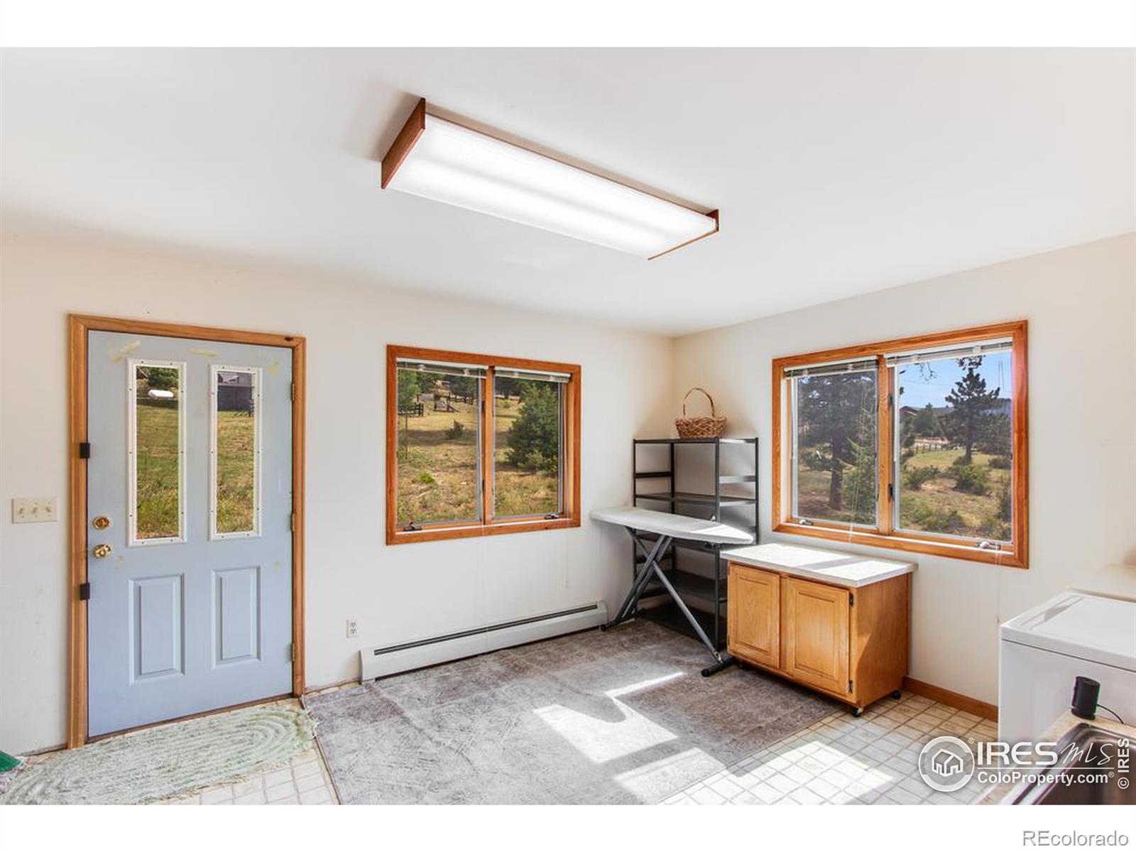 MLS Image #15 for 407  steele court,estes park, Colorado