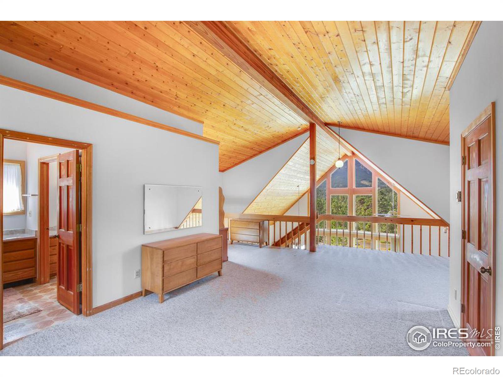 MLS Image #20 for 407  steele court,estes park, Colorado