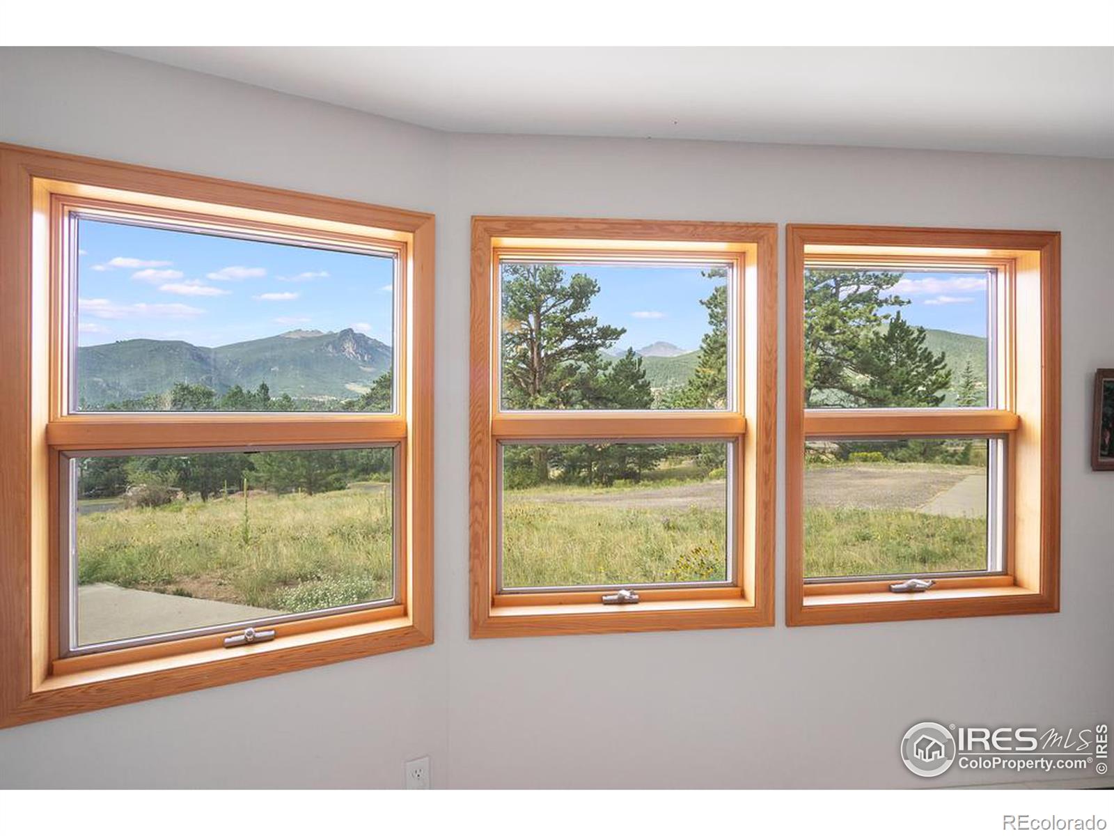 MLS Image #28 for 407  steele court,estes park, Colorado