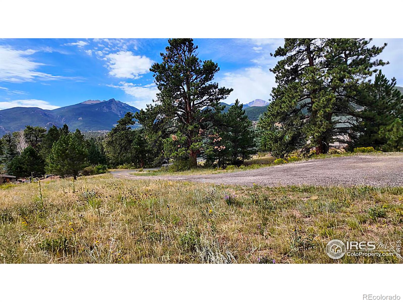 MLS Image #36 for 407  steele court,estes park, Colorado