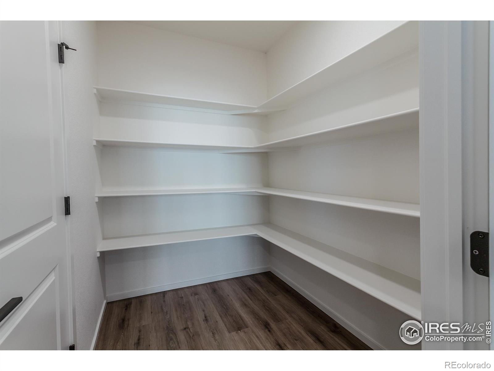 MLS Image #17 for 3142  robud farms drive,fort collins, Colorado