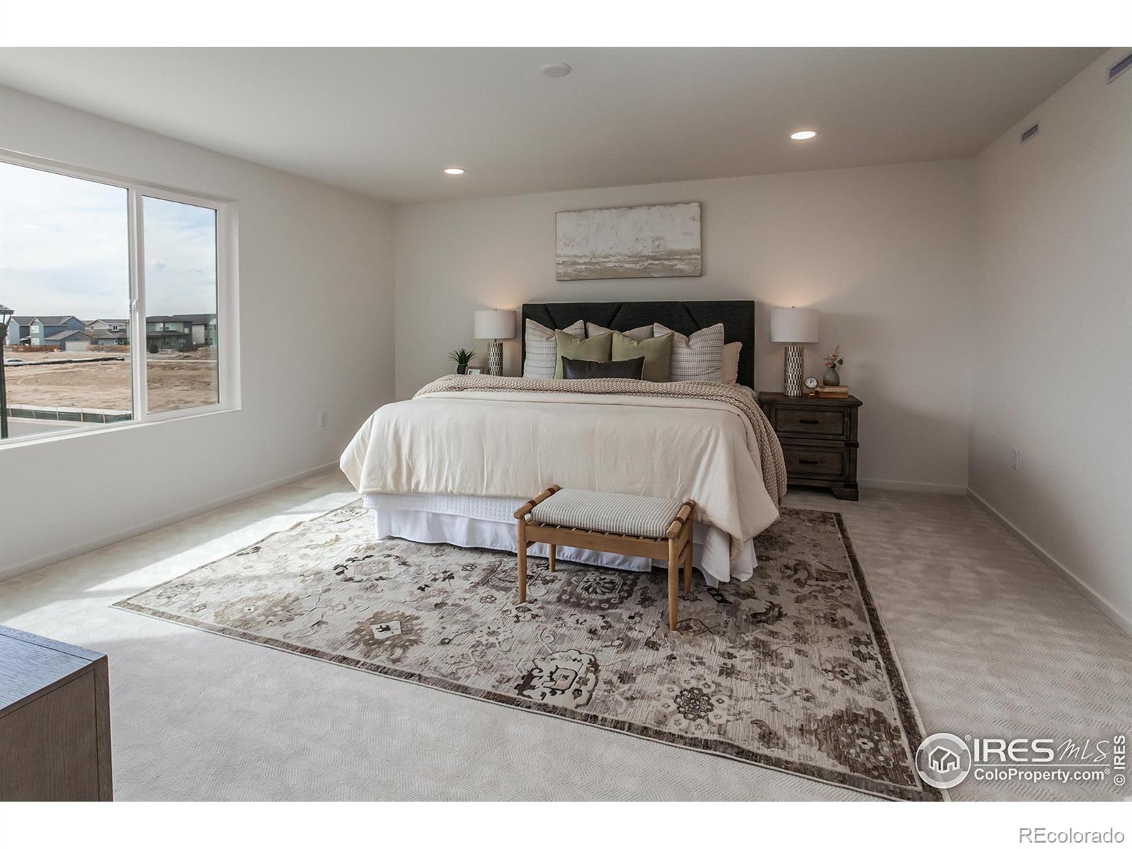 MLS Image #18 for 3142  robud farms drive,fort collins, Colorado
