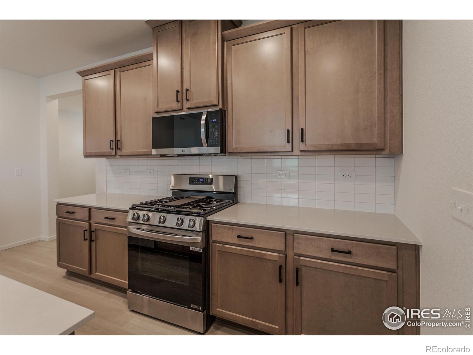 MLS Image #13 for 3154  robud farms drive,fort collins, Colorado