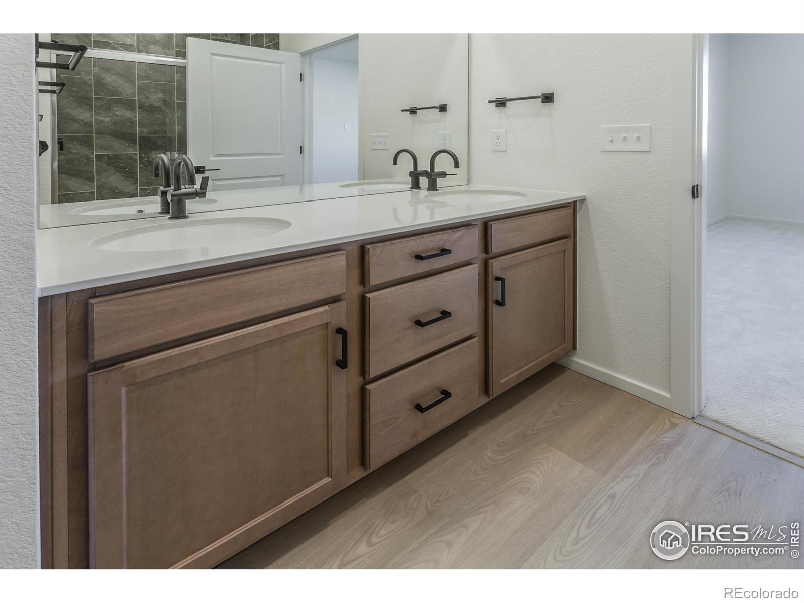 MLS Image #21 for 3154  robud farms drive,fort collins, Colorado