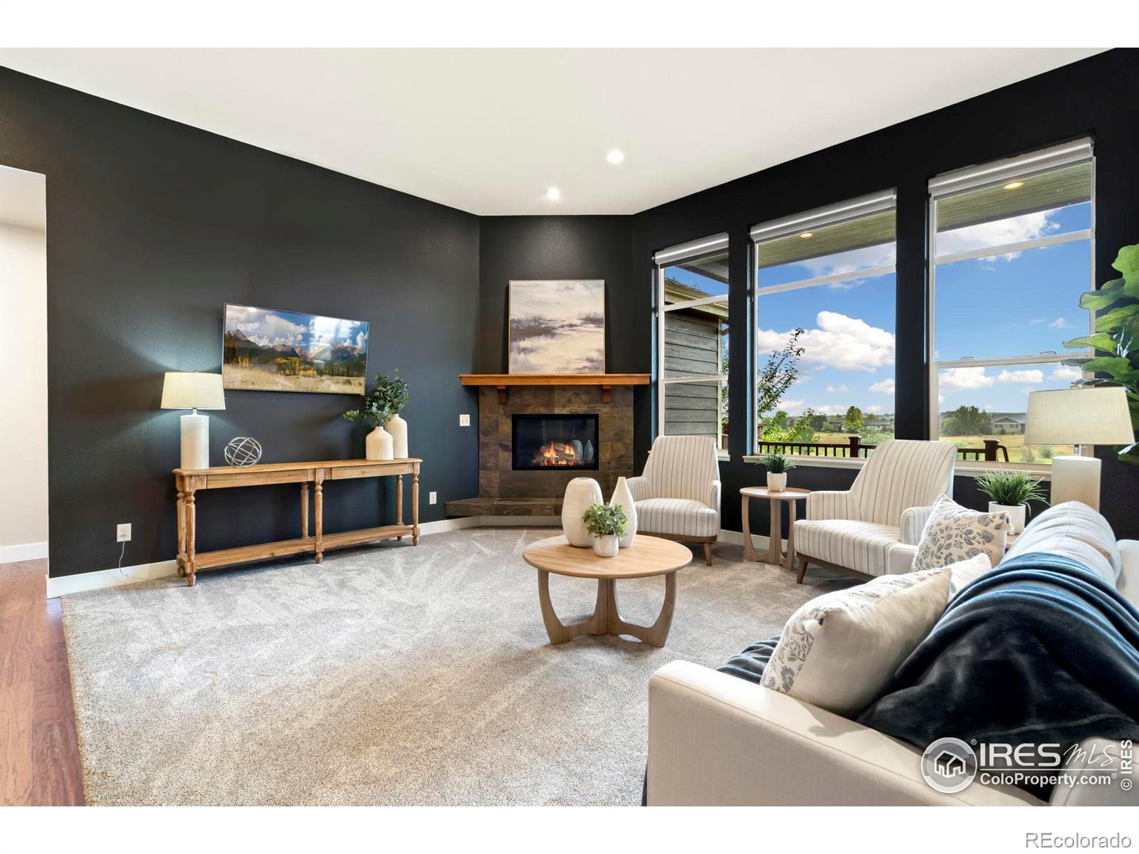 MLS Image #10 for 5814  crooked stick drive,windsor, Colorado