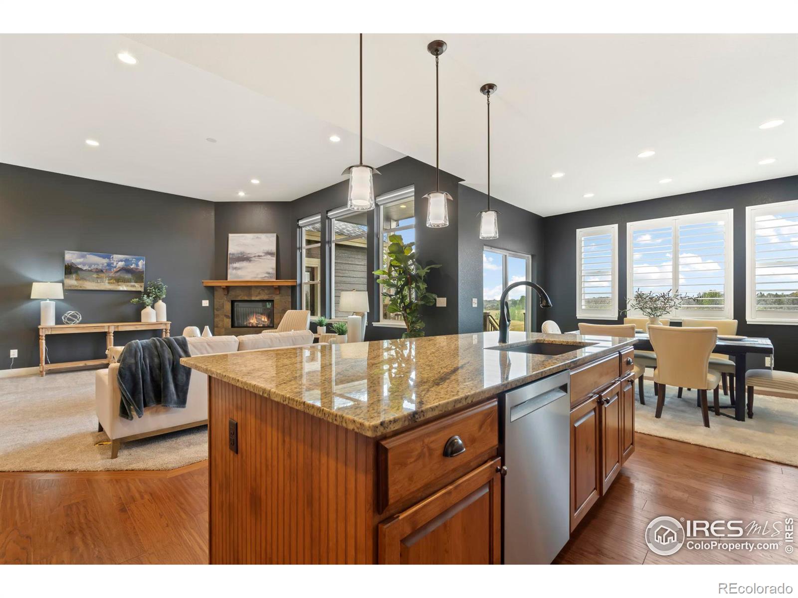 MLS Image #14 for 5814  crooked stick drive,windsor, Colorado